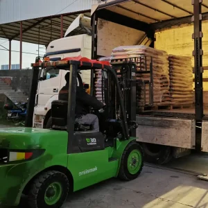 Samsun Çam Peleti (1)