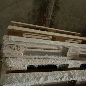 Samsun Çam Peleti (10)