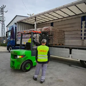 Samsun Çam Peleti (11)