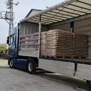 Samsun Çam Peleti (12)