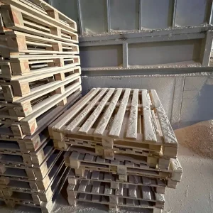 Samsun Çam Peleti (2)