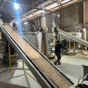 Samsun Çam Peleti (3)