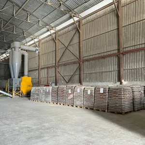 Samsun Çam Peleti (5)