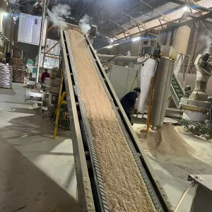 Samsun Çam Peleti (6)