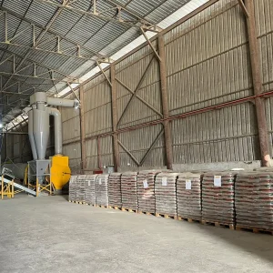 Samsun Çam Peleti (8)