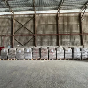 Samsun Çam Peleti (9)